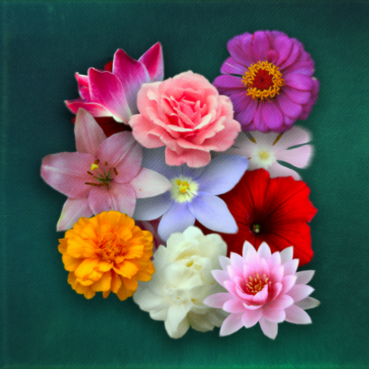 BOUQUET Collection